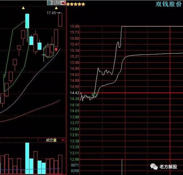 案例3:康恩贝(600572)