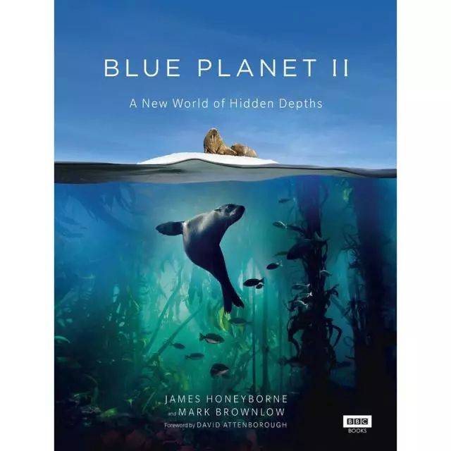 引爆3亿点击的《bbc全新4k海洋百科:蓝色星球ii》