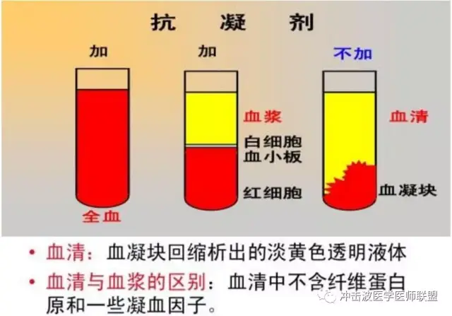 血浆血清如何真确的区别?