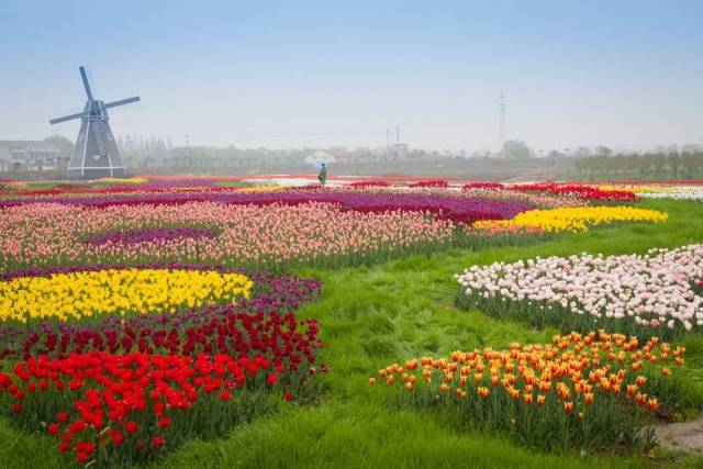 3月11日,第39个植树节期间,金卉庄园联合孝感晚报,孝感市小记者团举办