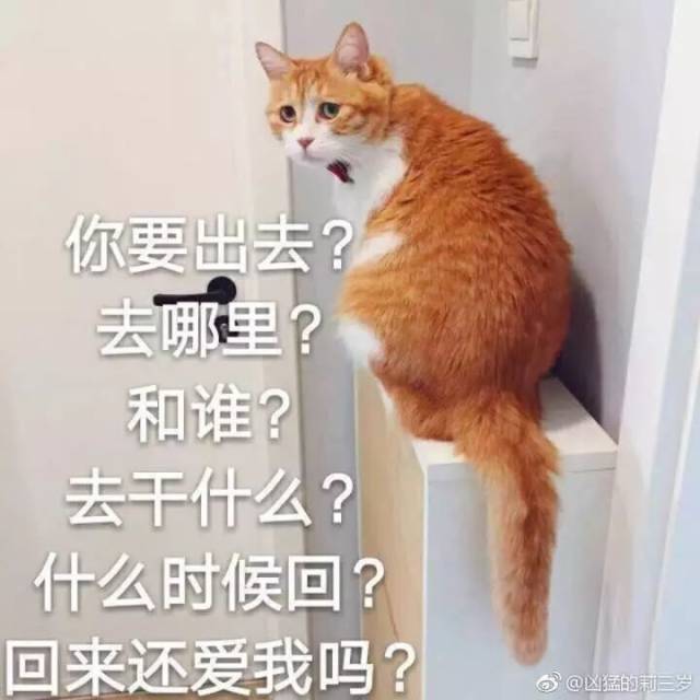 小姐姐.你的表情包掉了