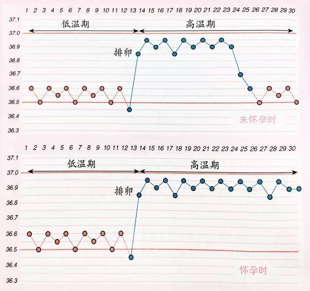 助孕神器"基础体温曲线图"到底有没有那么神?