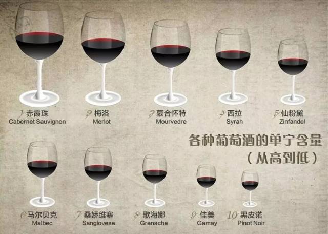 不同葡萄品种所酿的葡萄酒,其单宁含量也各不相同.