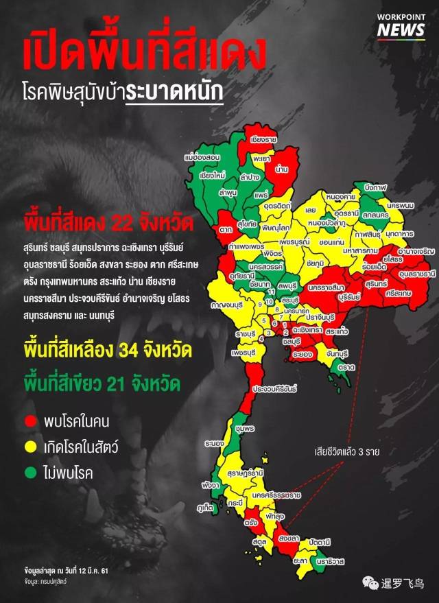 泰国狂犬病疫情迅速蔓延致5人死亡 中国领馆发布旅游提醒