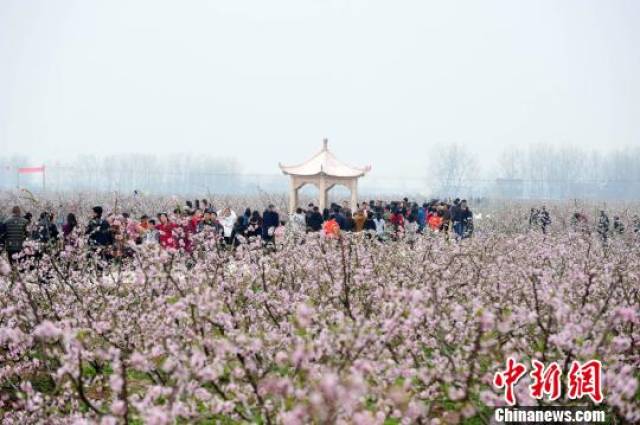 主题为"寻梦三国故道,情定洛神花海"的2018安徽肥东桃花节暨响导乡全