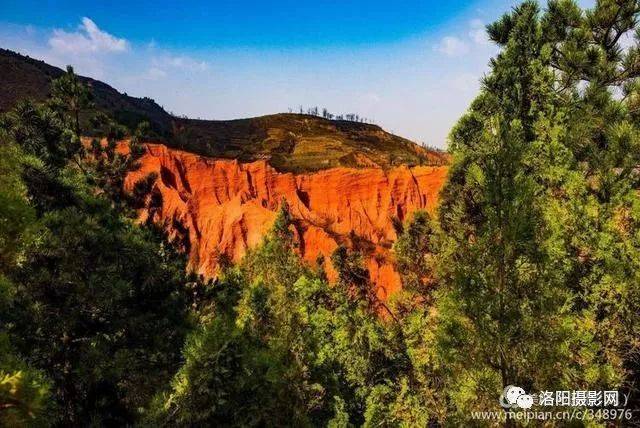 河南奇特鲸鱼红石谷,这里山像火焰山,花像林海雪原速画地貌图片