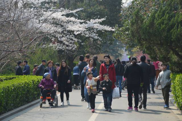 今天,郑州碧沙岗公园内 , 市民摩肩接踵,熙熙攘攘.