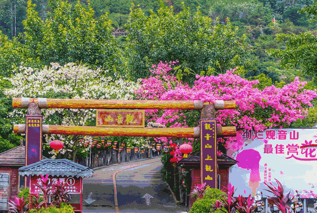 蝴蝶乐园……一起去体验玻璃栈道一起去看旖旎春光适合携亲带眷来一场