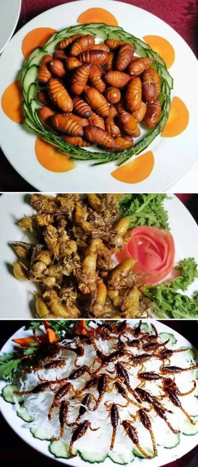 美食之外,只有"日照银"知道的海鲜!美食武汉文艺图片