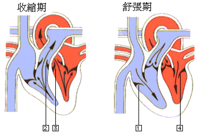 只有低压高是高血压吗?这种情况怎么办?