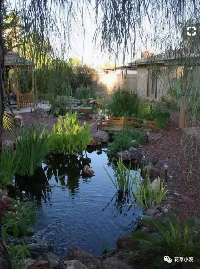 愿有一方小院,半亩池塘,一些花草!