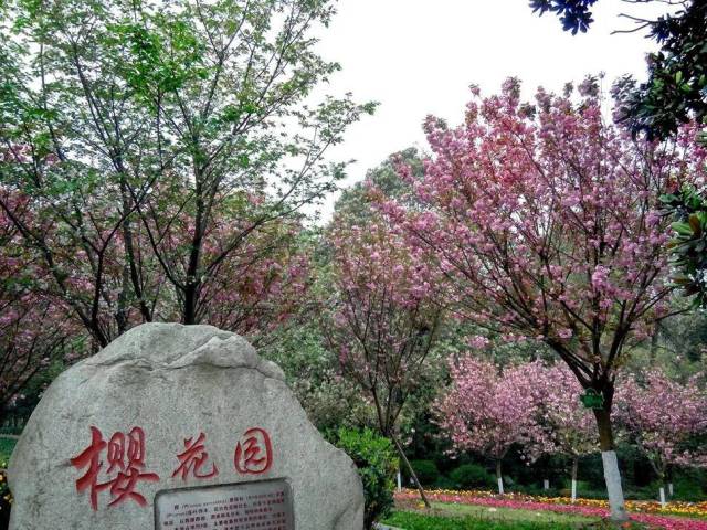 凤凰湖②成都→城南高速→青白江出口→清泉大道→同华大道→凤凰湖