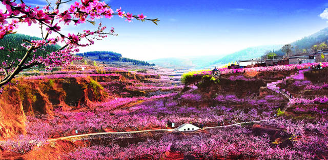 中国·肥城第17届桃花节开幕式将于4月4日举行