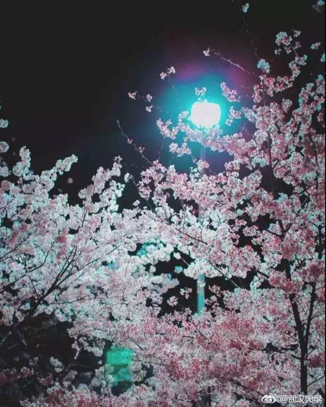 ͼƬԴ:@人ѧ.