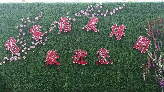 中国新歌声 十堰专场高清图\/内附全域四季游之