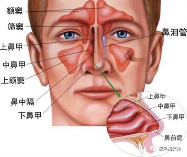 对付过敏性鼻炎,你需要的十八般兵器都在这里了