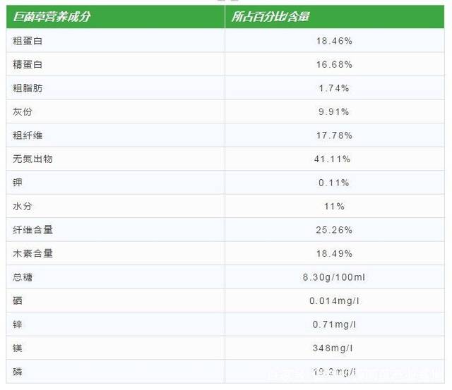 1,巨菌草的营养成分