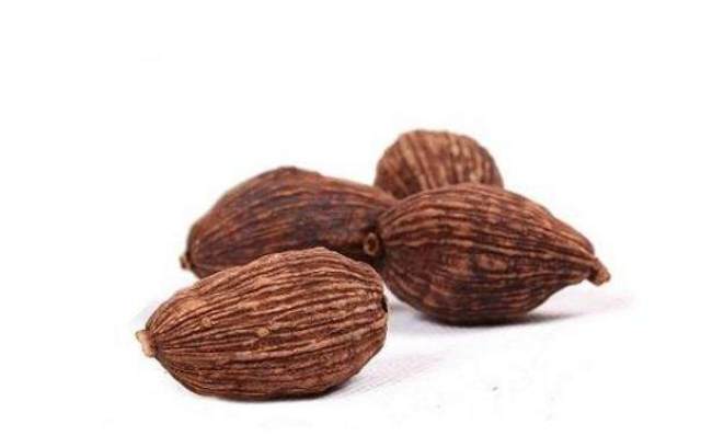 简谱草果_草果图片