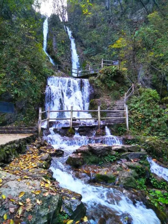 原始生态保存完好 追梦谷位于老君山西峰峡谷中,是目前栾川已经开发