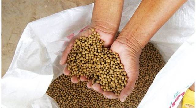 饲料霉变影响太可怕,解决问题需要东方霉菌清