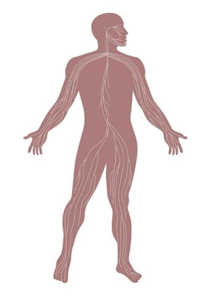 所以说人体是一个小宇宙,人是万物之灵,宇宙的形状和特性都在人体身上