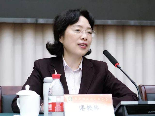 图为重庆市政府副市长潘毅琴