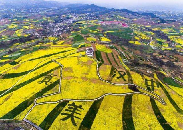 如果这个季节来西安旅游,汉中油菜花海是你最值得观赏的地方!