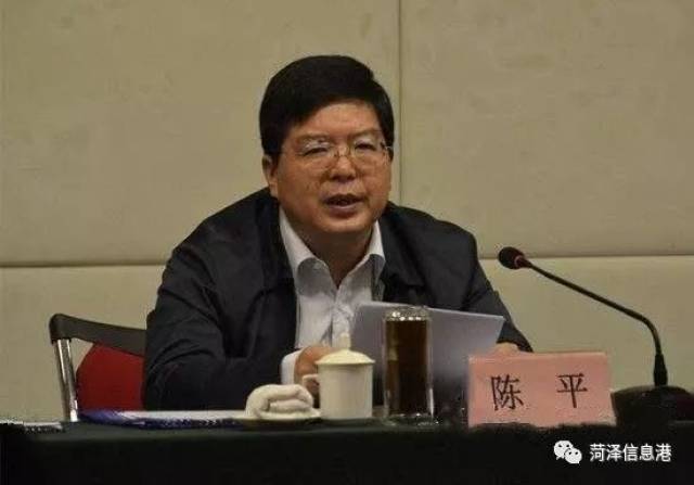 陈平拟任菏泽市委副书记,提名为菏泽市长候选人,附简历