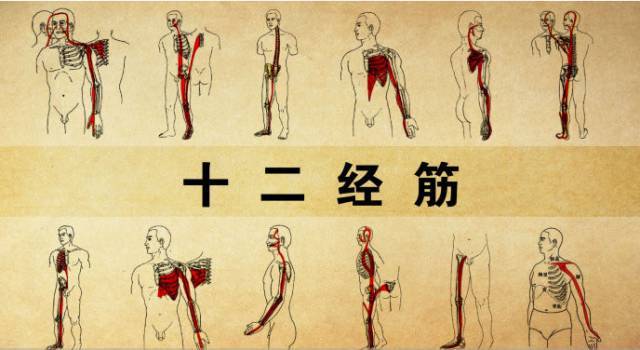 拉开身上"筋结",体内百病去,专家独门拉筋法,8~80岁都