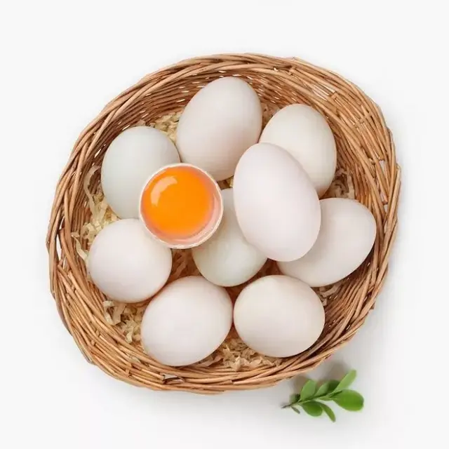 各种蛋类到底哪个才最有营养?