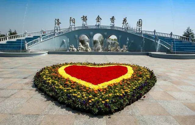 洛阳郁金香牡丹园