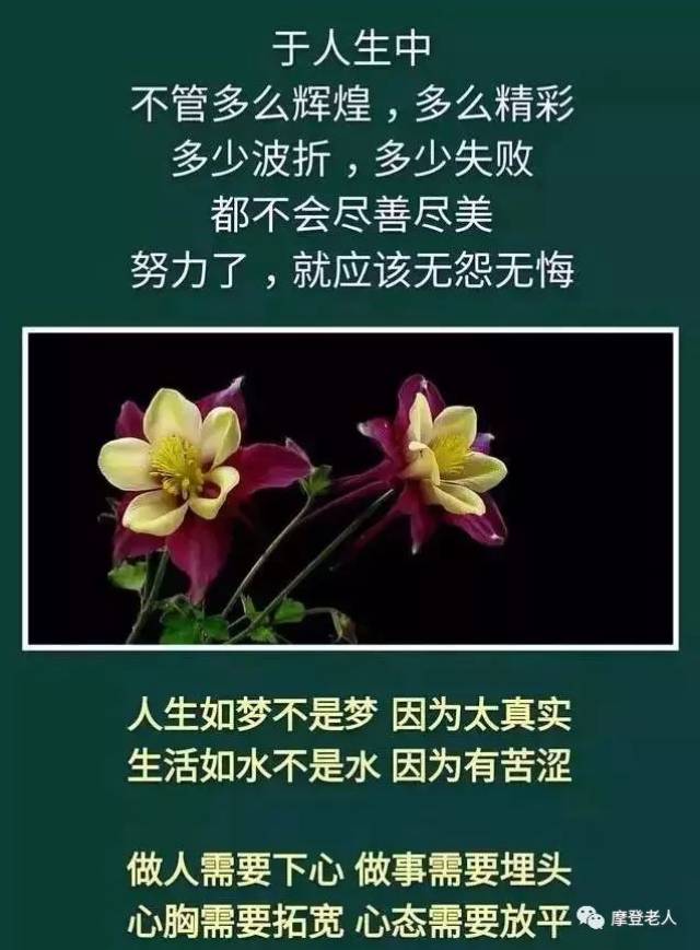 人生如梦不是梦,因为太真实;生活如水不是水,因为有苦涩.