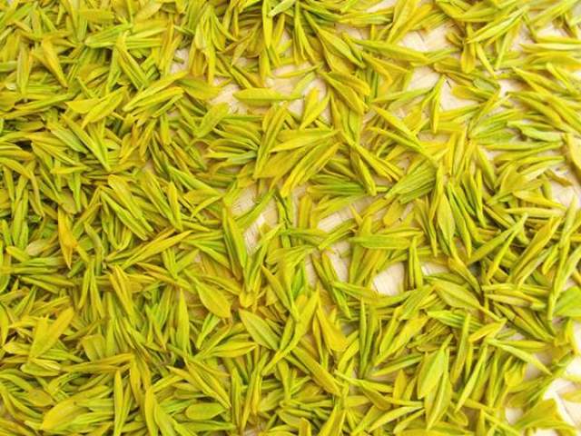三.黄茶特征与知名品类