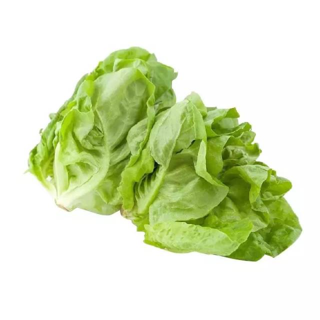 罗马生菜(romanie lettuce)