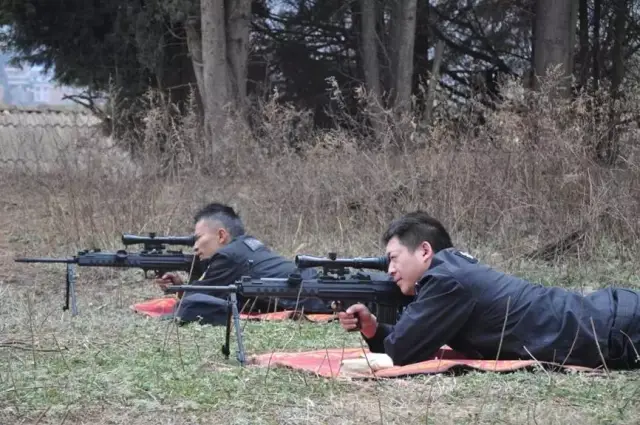 近距离观察特警蜀黍狙击步枪!