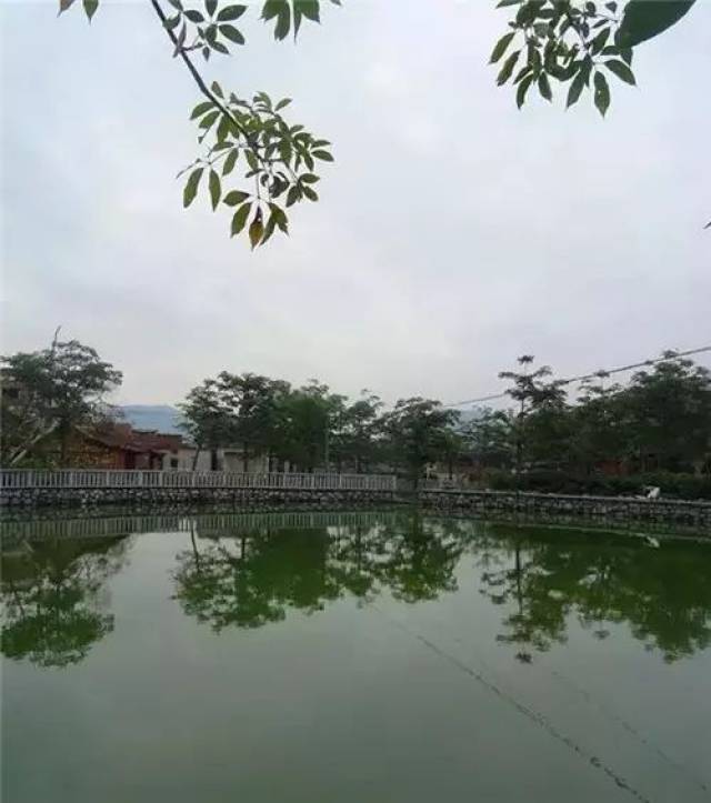 同安区 历史历史历史 梵天寺 翔安区 潜力潜力潜力 地铁 3号线,4号_风景520 同安区 历史历史历史 梵天寺 翔安区 潜力潜力潜力 地铁 3号线,4号
