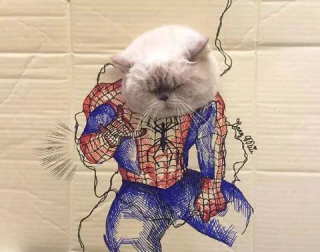 主人用废纸板画上动漫角色,留个头给猫钻后,瞬间帅呆了.
