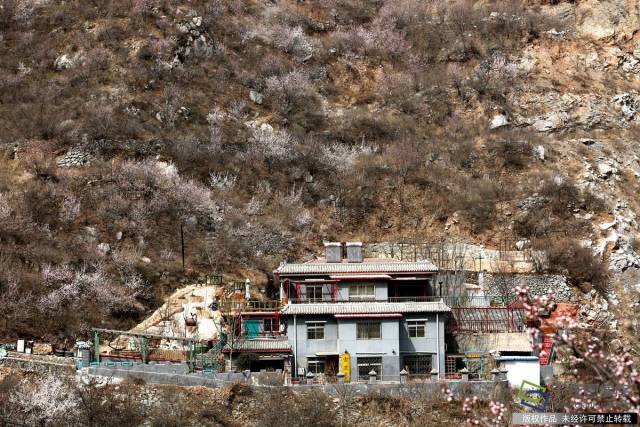 山区变景区,北京水峪嘴村生态"新"起来