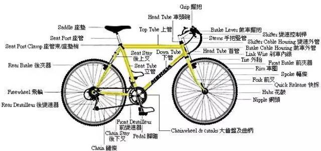 小白级骑行者要如何选购自行车,公路车,越野车哪个更适合?