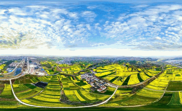 通车时间:2017年12月6日 行车路线:"油菜花高铁旅游专列"是在油菜花