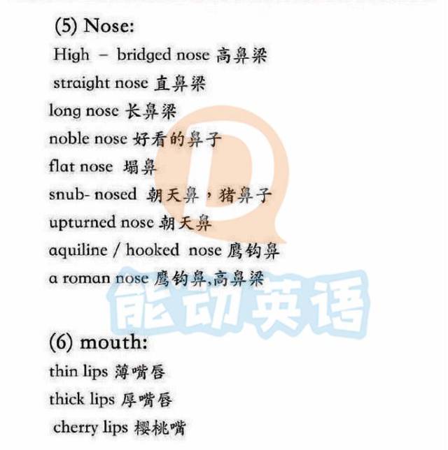 英语新知(三)如何用英语一分钟完整描述一个人?从性格