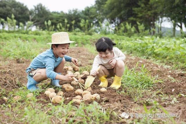 报名:从化小伙伴喊你去吃竹筒饭 一起插秧挖土豆