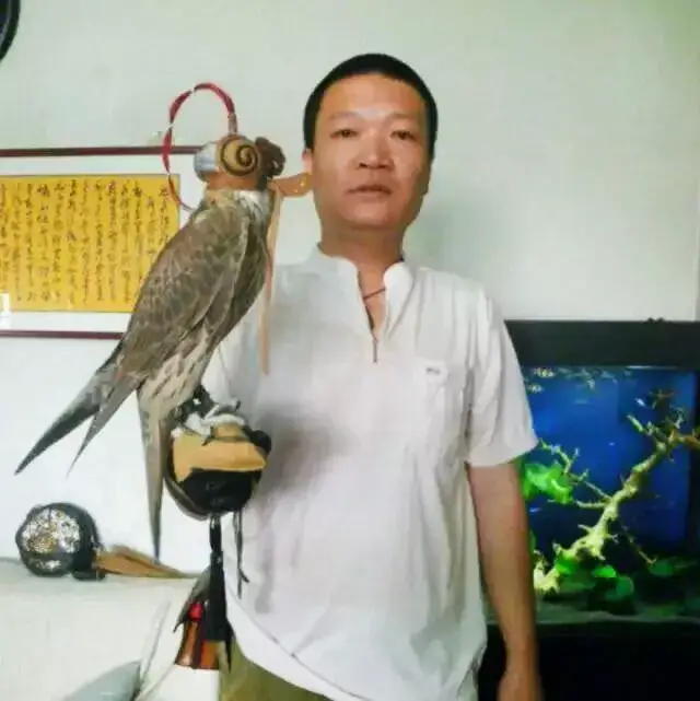 鹰帽与"鹰缘"