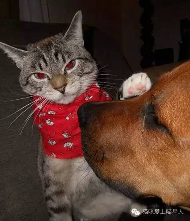 7d0590281ca6426d9e7304aca4e347f0.jpeg