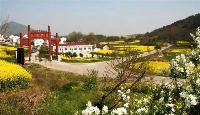咱们天王镇和唐陵村入选首批生态文明建设示范名单!