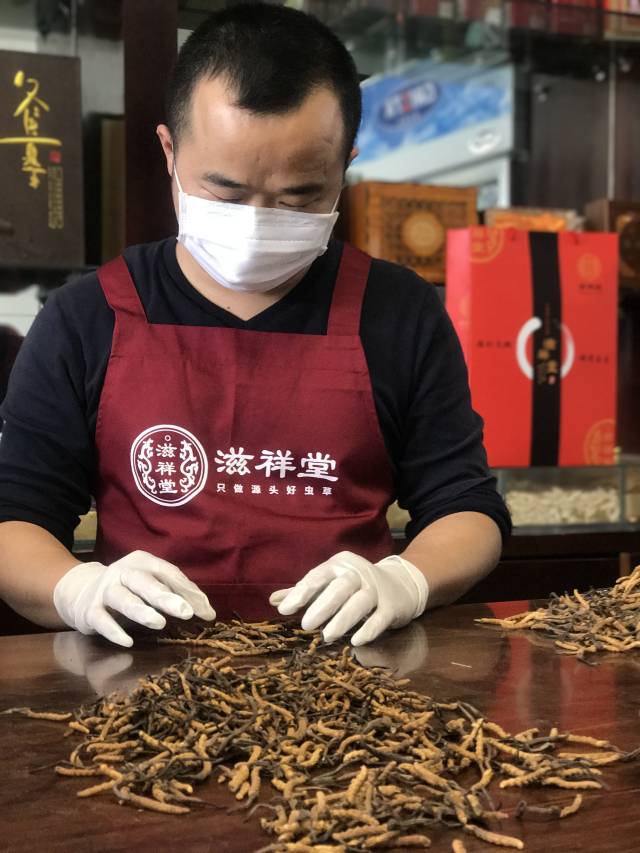 虫草哥:冬虫夏草怎么泡酒?泡酒要注意什么?