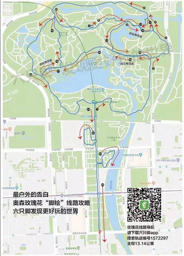 奥森玫瑰花之路,13.14公里浪漫之旅~城市公园也可以如此浪漫!