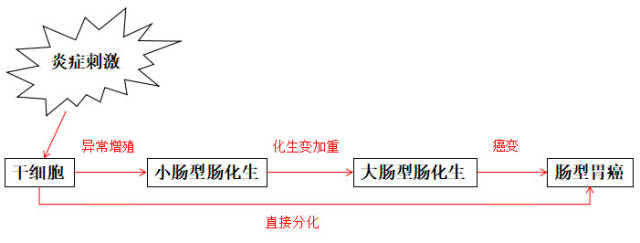 查出来肠上皮化生怎么办?