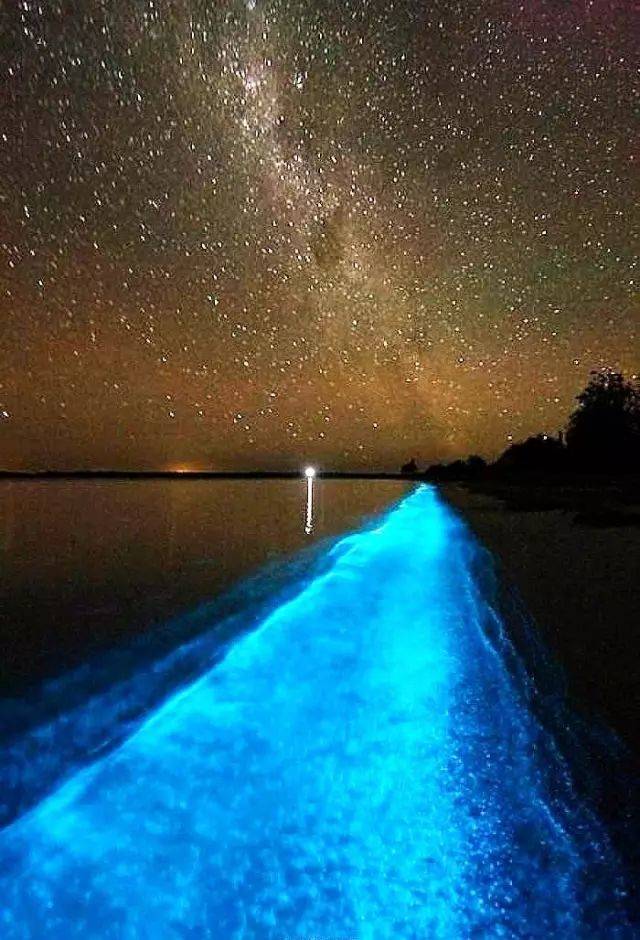 地面之洞结局儿子是不是真的