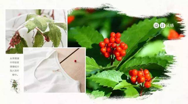 让植物发声--把大自然的馈赠,反馈给孩子